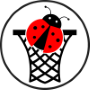 Le tournoi des coccinnelles